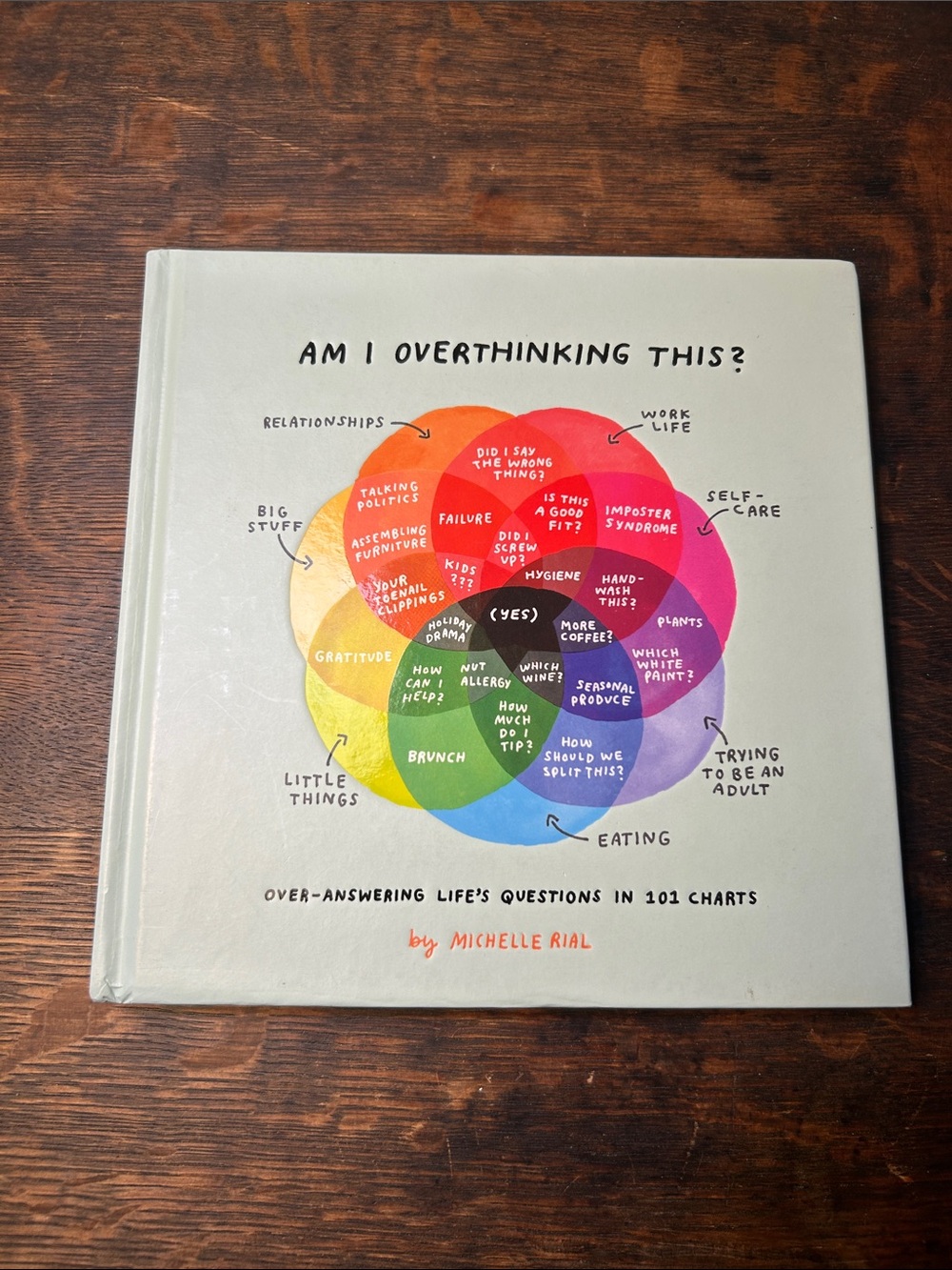 Hardcover gift book: am i overthinking this? (Chronicle books) super funny